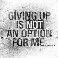 I will never stop trying.